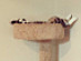 View full size picture