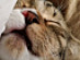 View full size picture