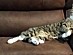 View full size picture