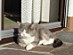 View full size picture