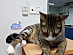 View full size picture