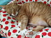View full size picture