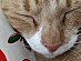 View full size picture