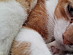 View full size picture