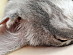 View full size picture