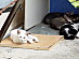 View full size picture