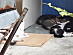 View full size picture