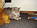 View full size picture
