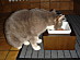 View full size picture