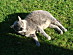 View full size picture