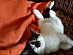 View full size picture