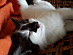 View full size picture