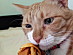 View full size picture