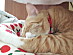 View full size picture