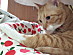 View full size picture