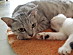 View full size picture