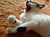 View full size picture
