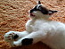 View full size picture