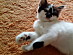 View full size picture