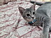 View full size picture