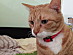 View full size picture