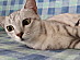 View full size picture