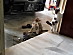 View full size picture