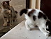 View full size picture