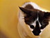 View full size picture
