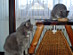 View full size picture