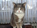 View full size picture