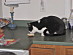 View full size picture