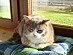 View full size picture