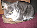 View full size picture