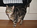 View full size picture