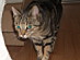 View full size picture