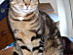 View full size picture