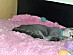 View full size picture