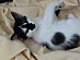 View full size picture