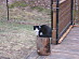 View full size picture