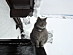 View full size picture