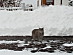 View full size picture