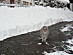 View full size picture