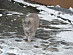 View full size picture