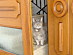 View full size picture
