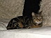 View full size picture