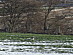 View full size picture