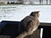 View full size picture