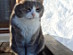 View full size picture