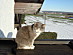 View full size picture